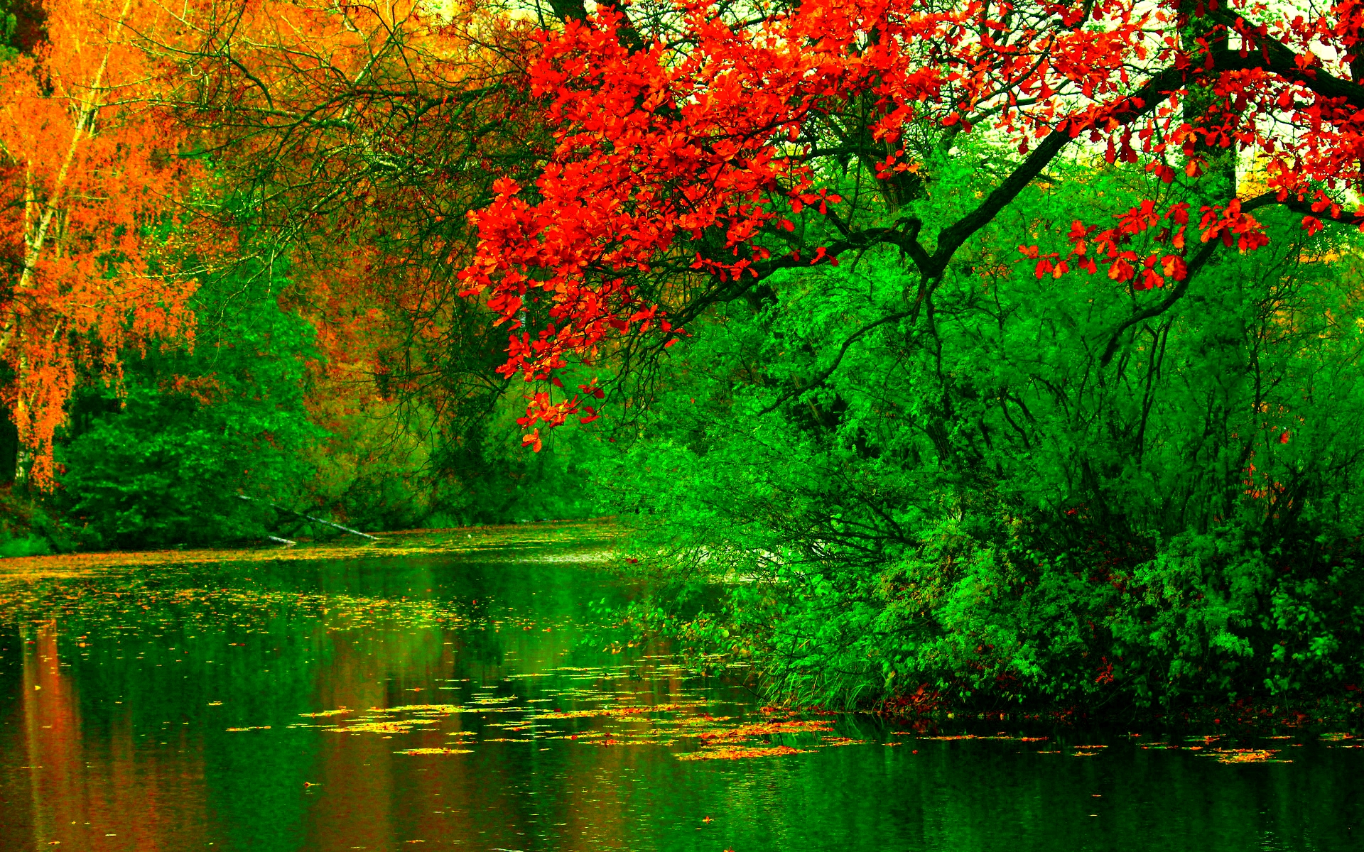 Autumn River HD Wallpaper | PixelsTalk.Net