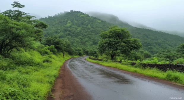 Heavy downpour on a mountain road surrounded by lush greenery, wet asphalt shining from the reflection of gray sky.