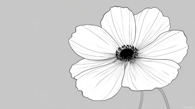 A clean silhouette of a flower with smooth, rounded petals, outlined in black on a soft gray background,.