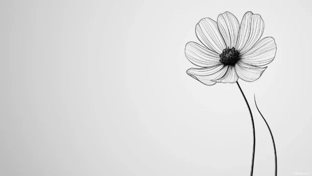 A clean silhouette of a flower with smooth, rounded petals, outlined in black on a soft gray background,.