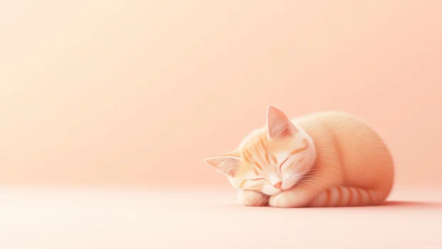 A minimalist HD wallpaper with a small, adorable cat curled up in a cozy ball on a pastel pink background.