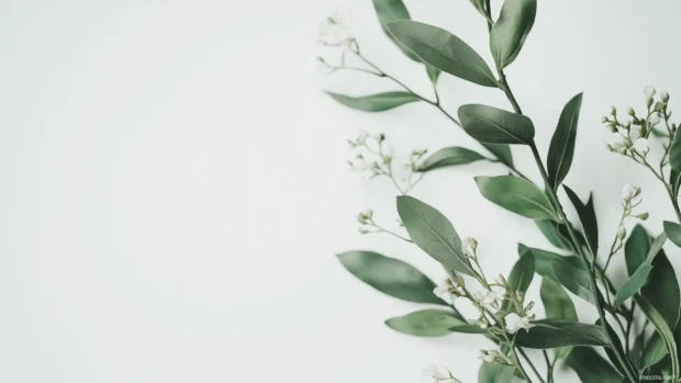 A modern floral pattern with light strokes of green leaves and soft pink flowers on a white background.