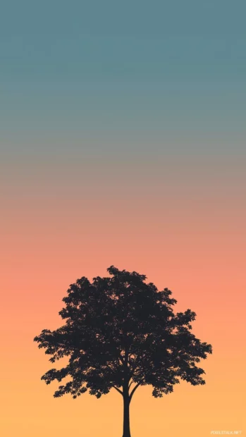 A simple iPhone wallpaper features a silhouette of a lone tree against a gradient sunset sky.