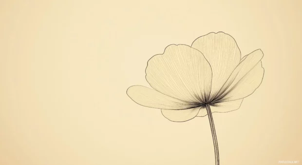 A delicate line drawing of a flower in full bloom on a light pastel background.