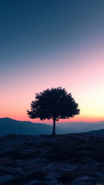 A simple HD wallpaper features a silhouette of a lone tree against a gradient sunset sky.