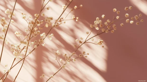 A simple wallpaper HD showcases a soft, pale pink background with a few elegant gold accents.