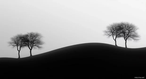 A simple wallpaper of a gentle foggy landscape with minimal tree silhouettes.