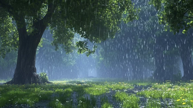 Gentle rain falling on a peaceful forest clearing with lush green leaves glistening under raindrops, soft mist floating in the air.