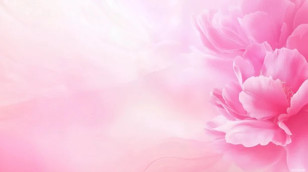 Beautiful Spring Wallpaper with a pink peony flower in close up.