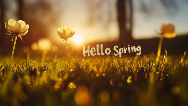 Ethereal spring meadow during sunrise with soft golden light casting a warm glow on the field, Hello Spring in modern minimalist sans serif text at the bottom right.