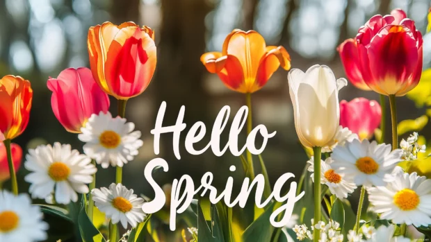 Garden scene with fresh tulips, daisies, and lilies in vibrant spring colors with Hello Spring displayed in bold serif letters at the bottom center.