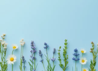 Preppy spring wildflowers like daisies, buttercups, and tiny bluebells, set on a baby blue background with a clean and minimalist preppy.