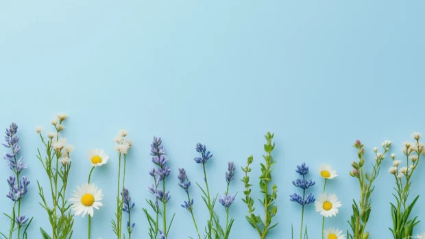 Preppy spring wildflowers like daisies, buttercups, and tiny bluebells, set on a baby blue background with a clean and minimalist preppy.