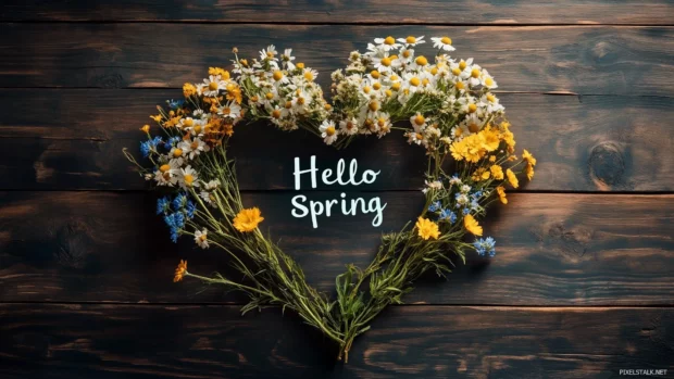 Wildflowers arranged in a heart shape on a rustic wooden background, with Hello Spring placed inside the heart in a stylish calligraphy font.