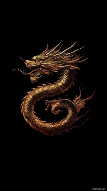 A coll Chinese dragon coiling gracefully against a smooth black background.