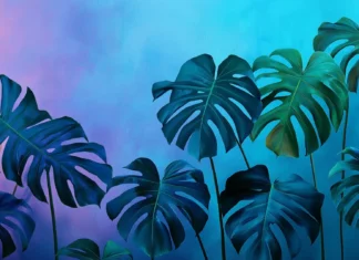 A collage of tropical leaves HD wallpaper with vibrant shades of green, teal, and blue, soft pastel gradient background, contemporary and modern tropical art style.