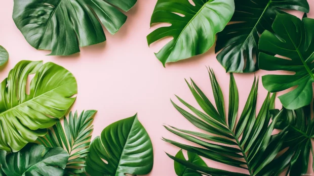 A seamless pattern of banana leaves, monstera, and palm fronds in lush green tones, scattered elegantly on a soft pastel pink background.