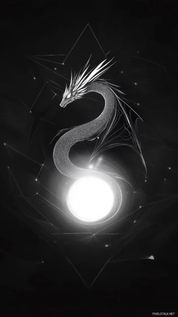 A simple Dragon iPhone wallpaper free.