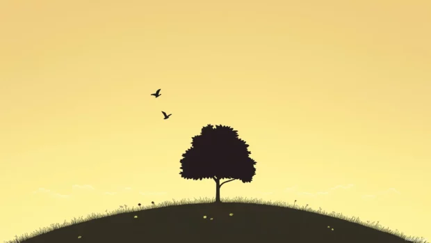 A simple wallpaper 4K with a silhouette of a tree against a light sunset sk.