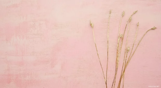 A simple wallpaper showcasing a soft, pale pink background with a few elegant gold accents.