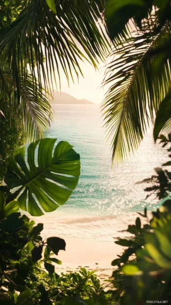 A tranquil beach view framed by lush tropical foliage, including palm leaves and vibrant green monstera leaves.