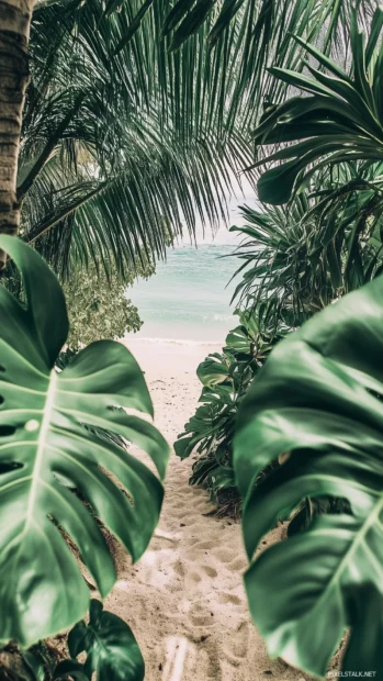 A tranquil beach view framed by lush tropical foliage, including palm leaves and vibrant green monstera leaves, the sunlit ocean glistening in the distance.