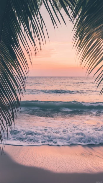 A tropical beach aesthetic wallpaper with an aesthetic design featuring warm golden hour lighting, palm leaves framing the view, pastel pink and peach skies reflecting on calm water.