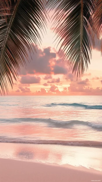 A tropical beach scene with an aesthetic design featuring warm golden hour lighting, palm leaves framing the view, pastel pink and peach skies reflecting on calm water.