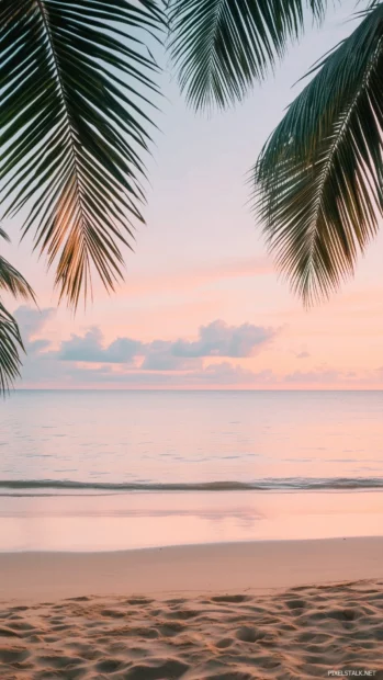 A tropical beach wallpaper with an aesthetic design featuring warm golden hour lighting, palm leaves framing the view, pastel pink and peach skies reflecting on calm water.