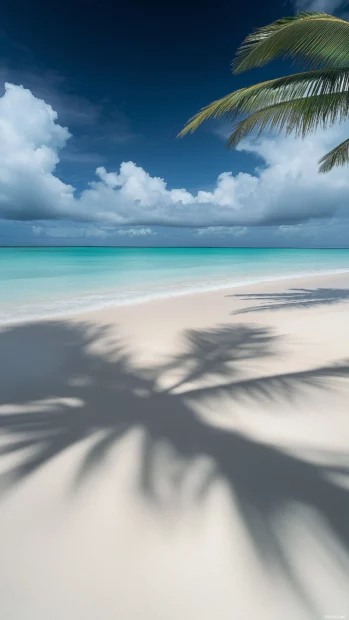 A tropical beach wallpaper with palm shadows cast on white sand, turquoise waves rolling in gently, pastel blue sky with soft clouds.