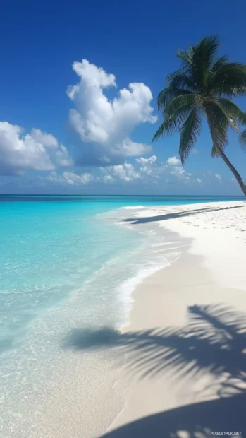 A tropical beach with palm shadows cast on white sand, turquoise waves rolling in gently, pastel blue sky with soft clouds, modern minimalist aesthetic.