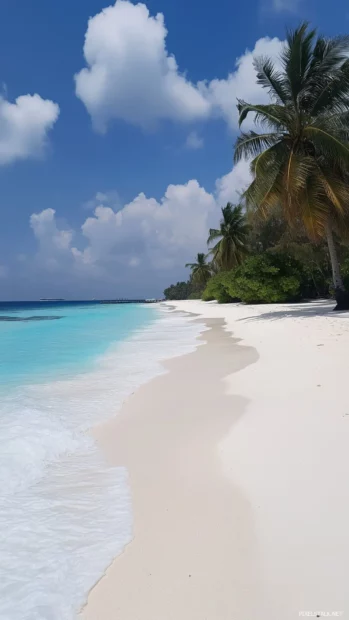 A tropical iPhone background with palm shadows cast on white sand, turquoise waves rolling in gently, pastel blue sky.