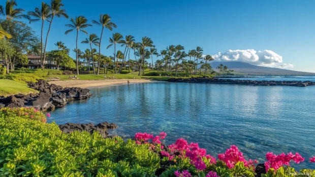 A tropical island background with a hidden cove surrounded by tall palm trees, vibrant flowers, and clear shallow water.