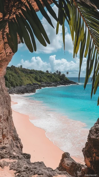 A tropical wallpaper HD with a natural rock arch framing the ocean view, lush green foliage on the rocks, calm blue water stretching into the horizon, golden sand beach below.