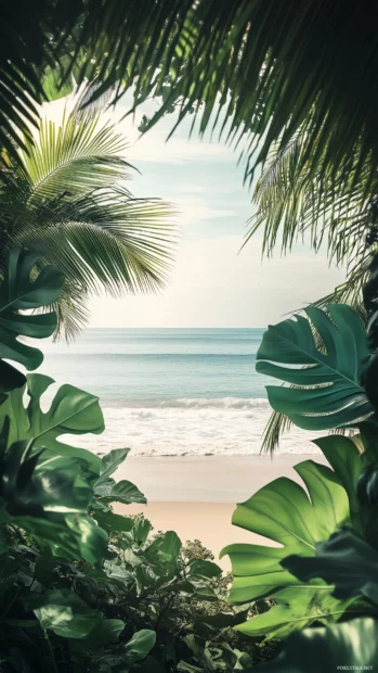 Aesthetic Tropical Wallpaper with a beach view framed by lush tropical foliage, including palm leaves and vibrant green monstera leaves, the sunlit ocean glistening in the distance.