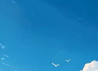 An aesthetic cloud background with a peaceful blue sky scattered with small, puffy cumulus clouds, with a few birds flying overhead.