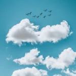 Cloud iPhone wallpaper with a peaceful blue sky scattered with small, puffy cumulus clouds, with a few birds flying overhead, creating a tranquil scene.