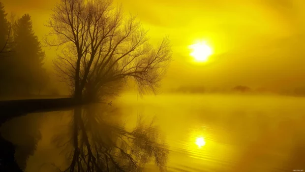 Cool yellow sunrise over a mist covered lake with reflections.