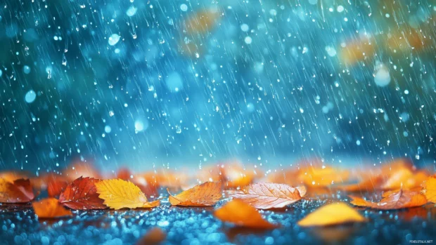 Rain falling on vibrant autumn leaves scattered on the ground, soft focus with shallow depth of field, bright orange, yellow, and red leaves glistening with fresh water.