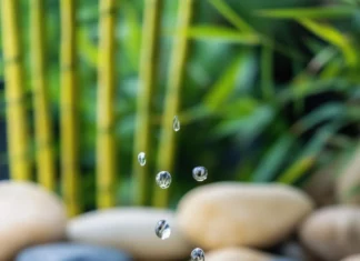 Rain hitting a still water pond in the middle of a Zen garden, soft ripples expanding on the surface, smooth pebbles and green bamboo in the background.