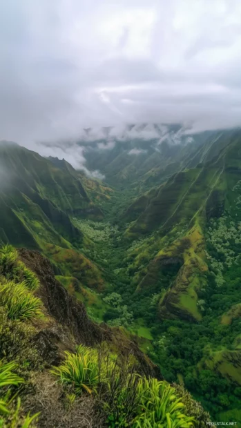 Rainstorm over a scenic mountain valley, foggy clouds hovering between mountain peaks, rain soaked landscape with lush greenery.