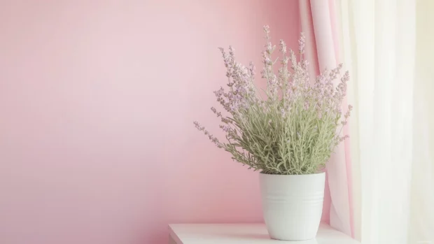 Simple wallpaper 4K with a soft pastel gradient from light lavender to pale pink, creating a calm and serene atmosphere.