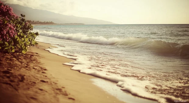 A Hawaii beach with gentle waves lapping against the shore for desktop.