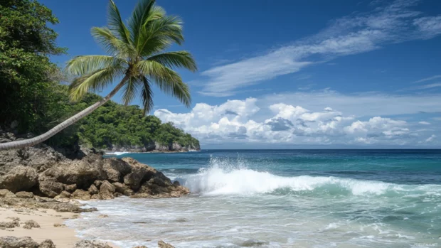 A beachy wallpaper with palm tree leaning over a rocky coastline.