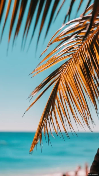 A close up of a palm tree frond with the blue ocean blurred in the background.