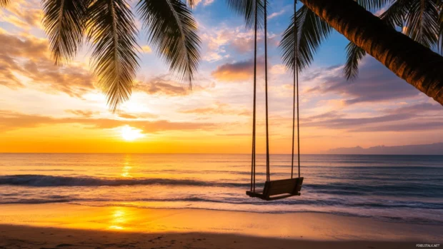 A desktop wallpaper ofbeachside swing hanging from a palm tree.