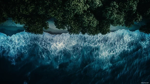 A drone shot of a beach at night for high definition desktop background.