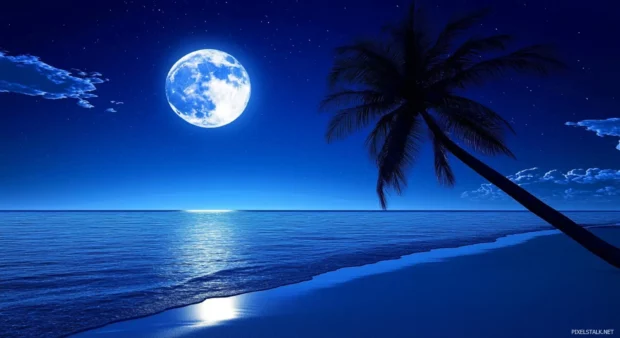 A full moon shining brightly over a calm ocean beachy vibe wallpaper.