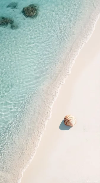 A minimalist beach with smooth sand and a single, elegant seashell wallpaper.