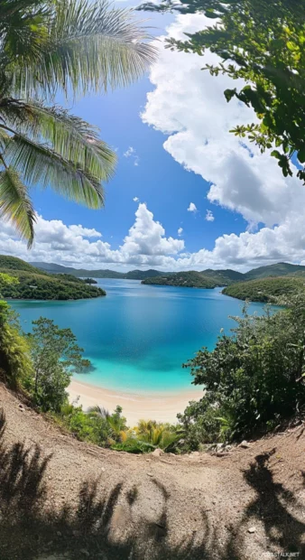 A panoramic view of a tropical beach with palm trees and turquoise blue water.